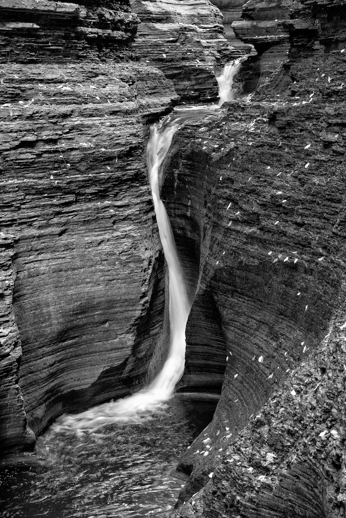 Black & White 00185