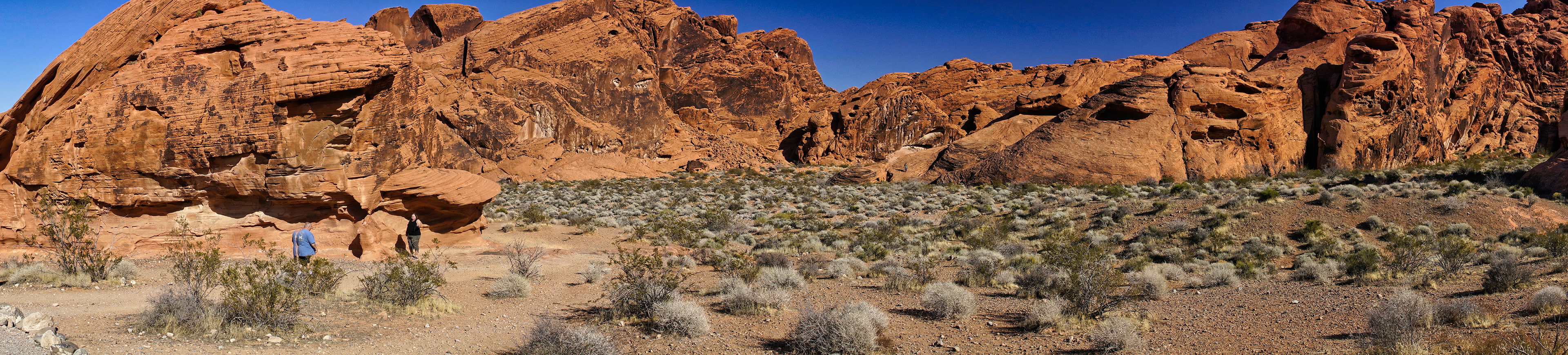 NV Desert 00090