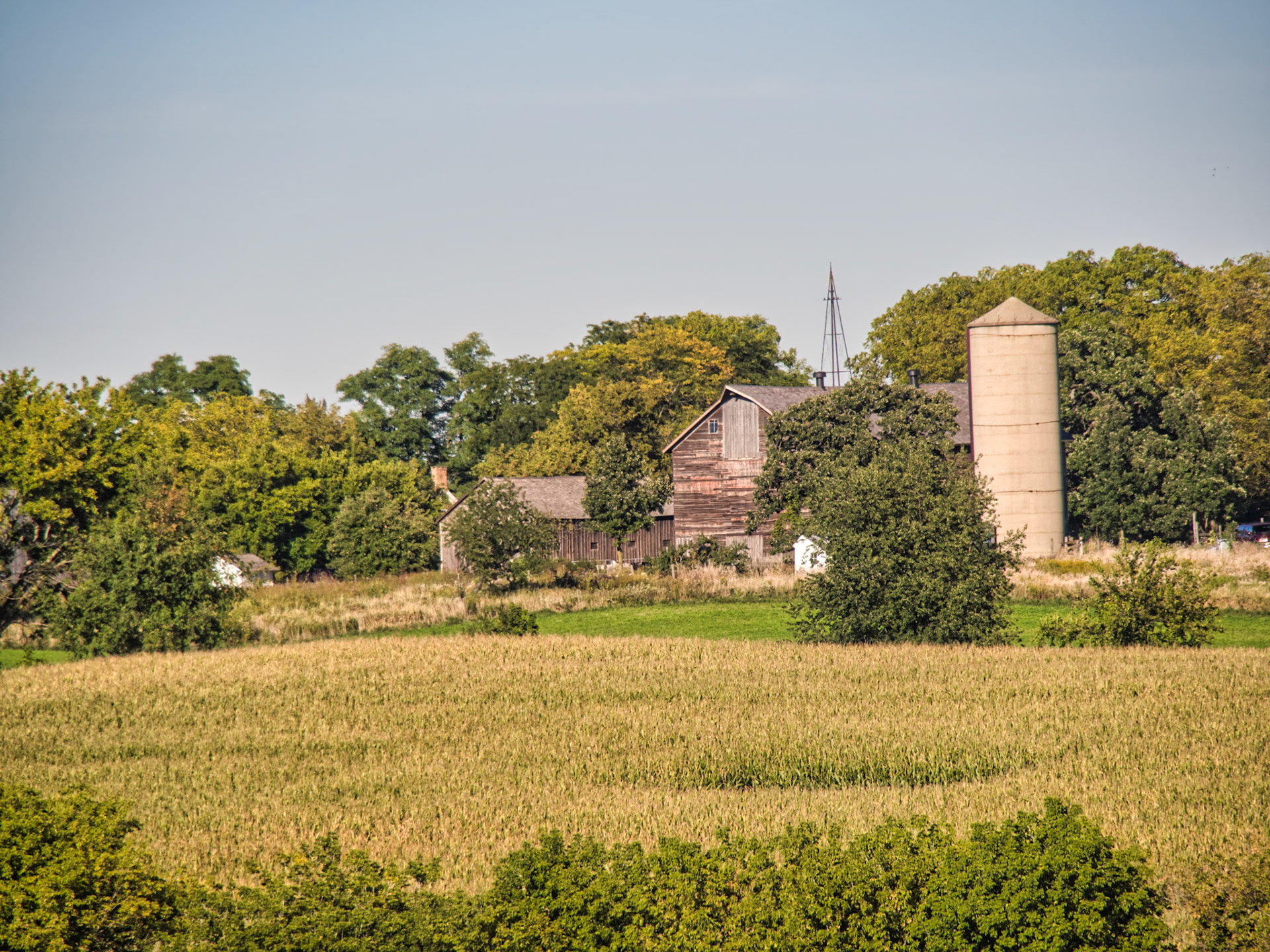 IL Miscellaneous 00142