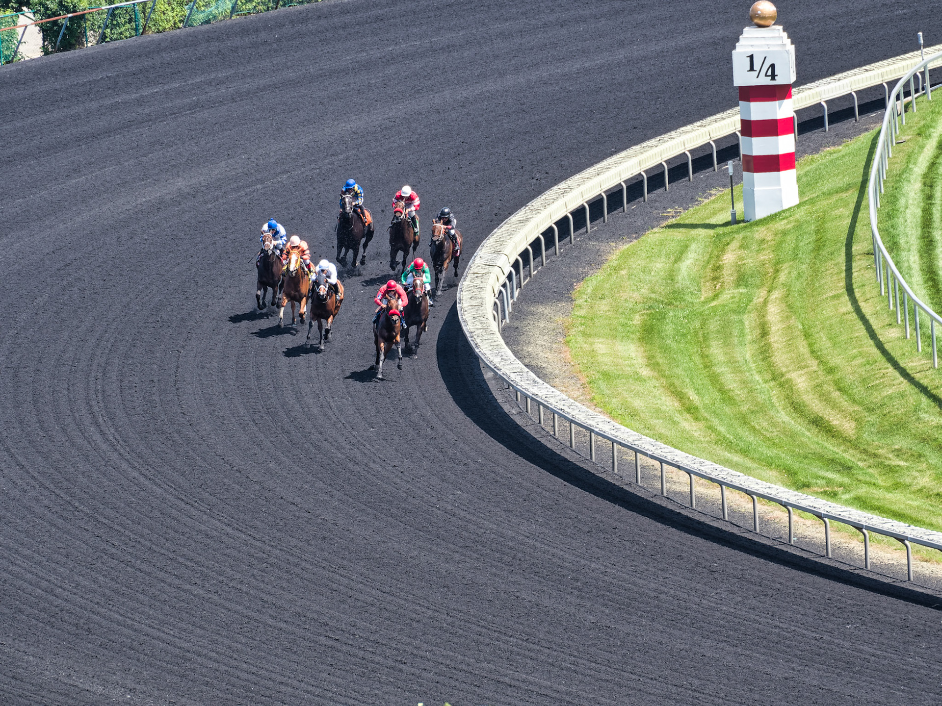 IL Arlington Park 00015