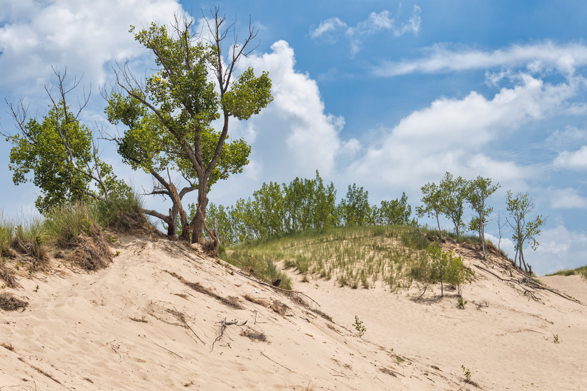MI Dunes 00009