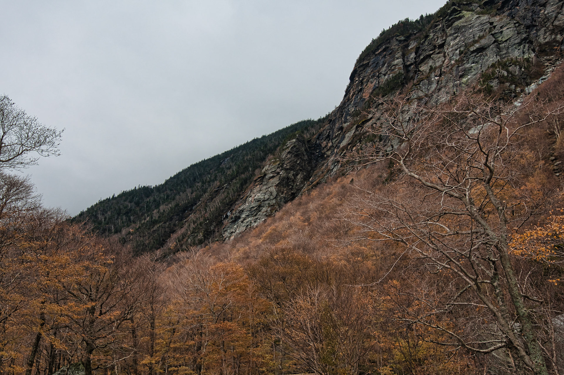 VT Miscellaneous 00032