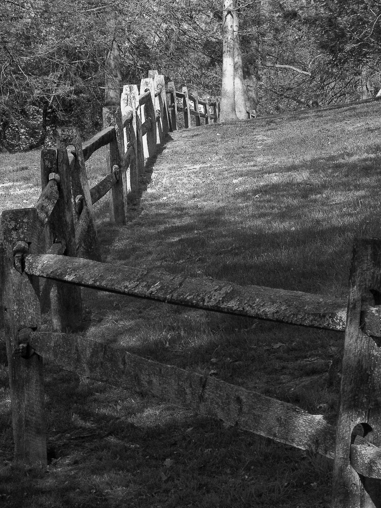 Black & White 00042