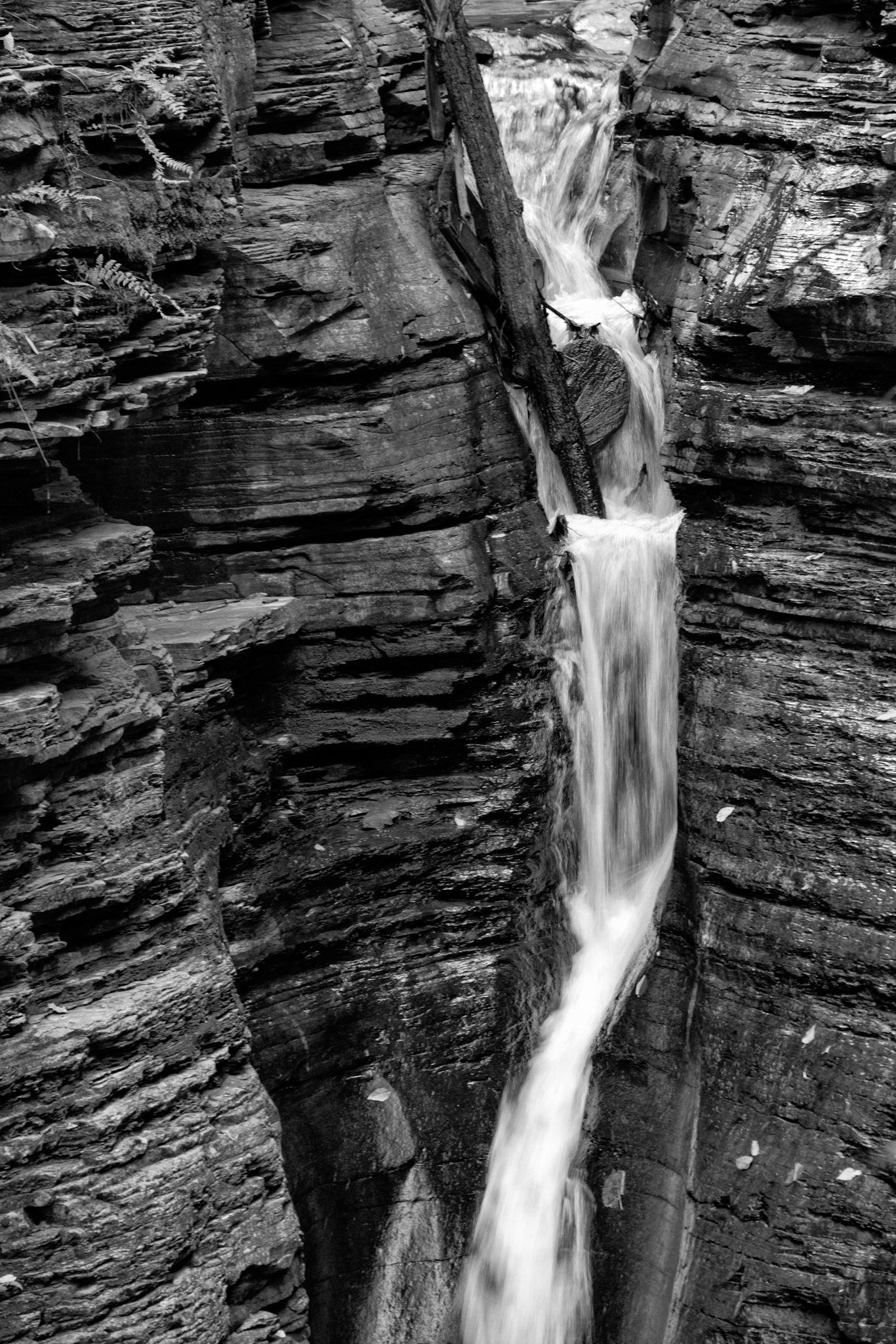 Black & White 00189