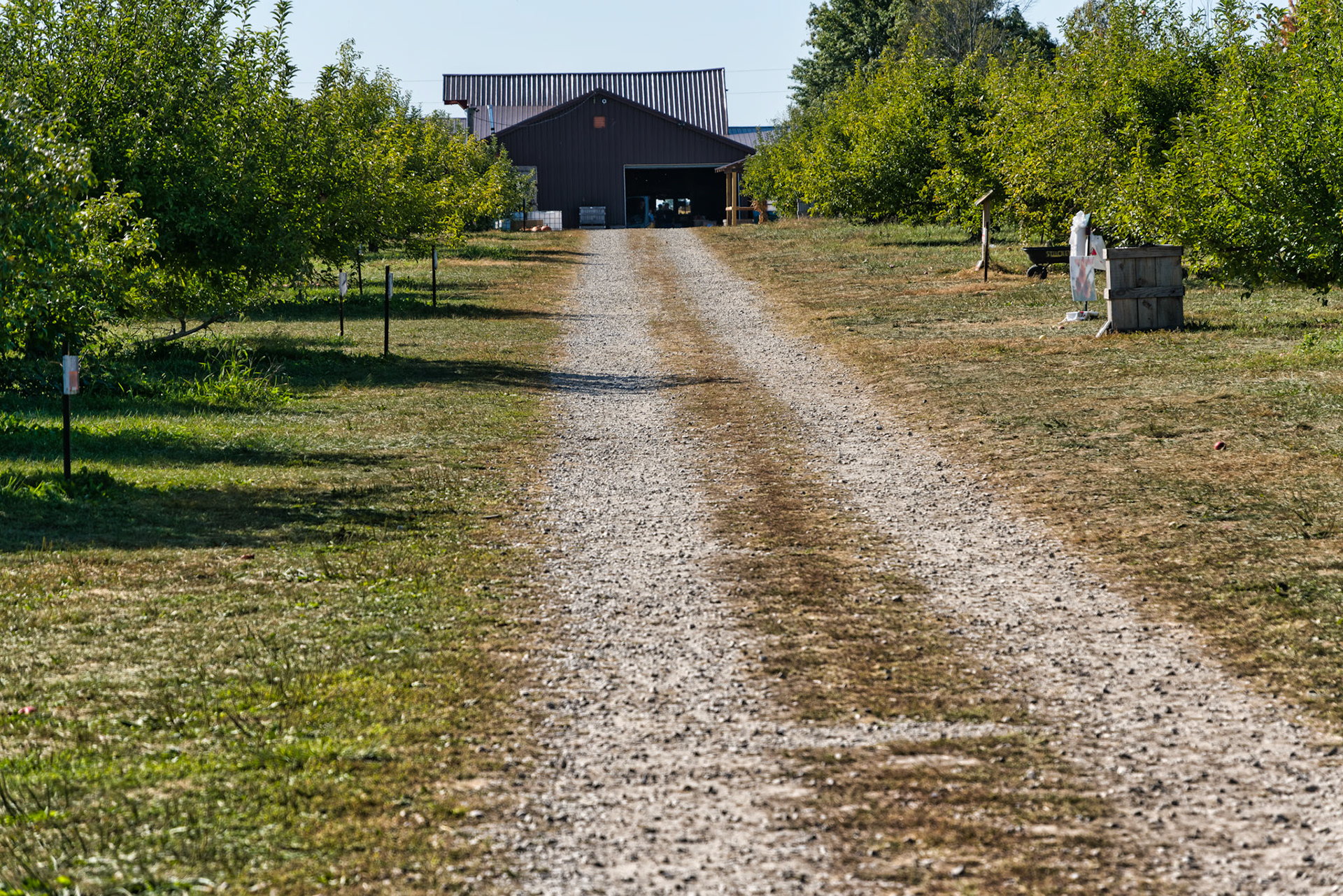 IN Stukey's Farm 00035