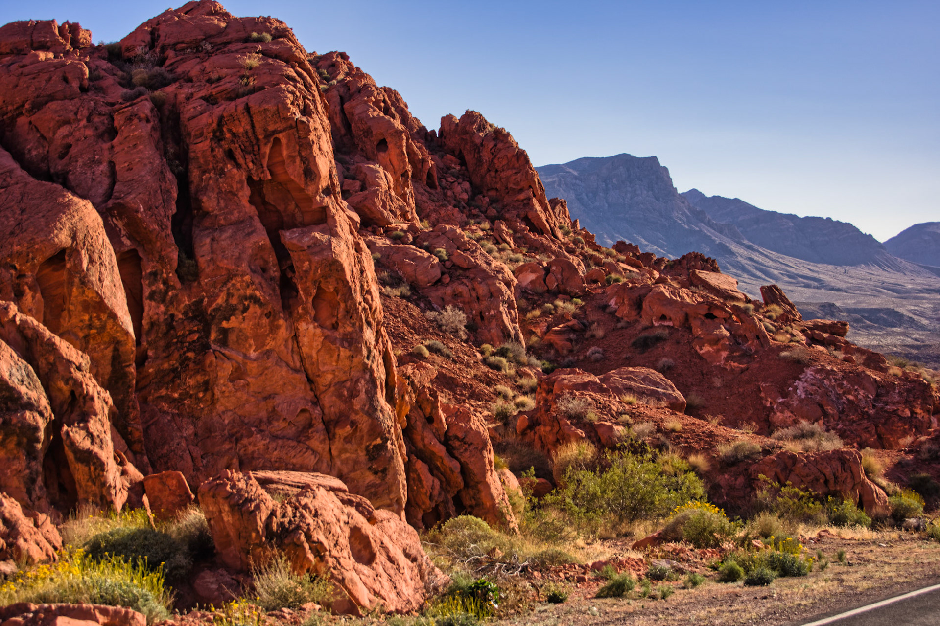 NV Desert 00069