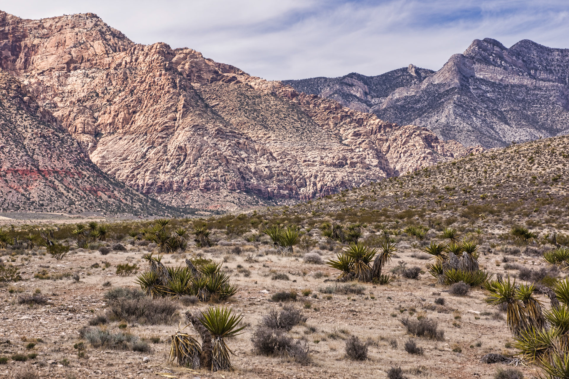 NV Desert 00198