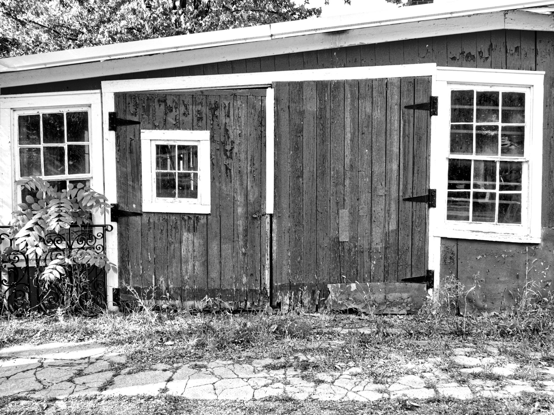 Black & White 00241