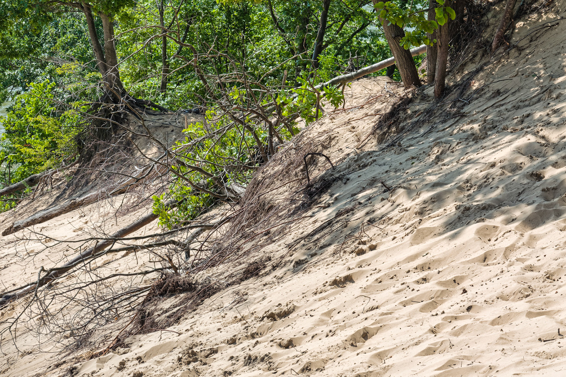 MI Dunes 00111