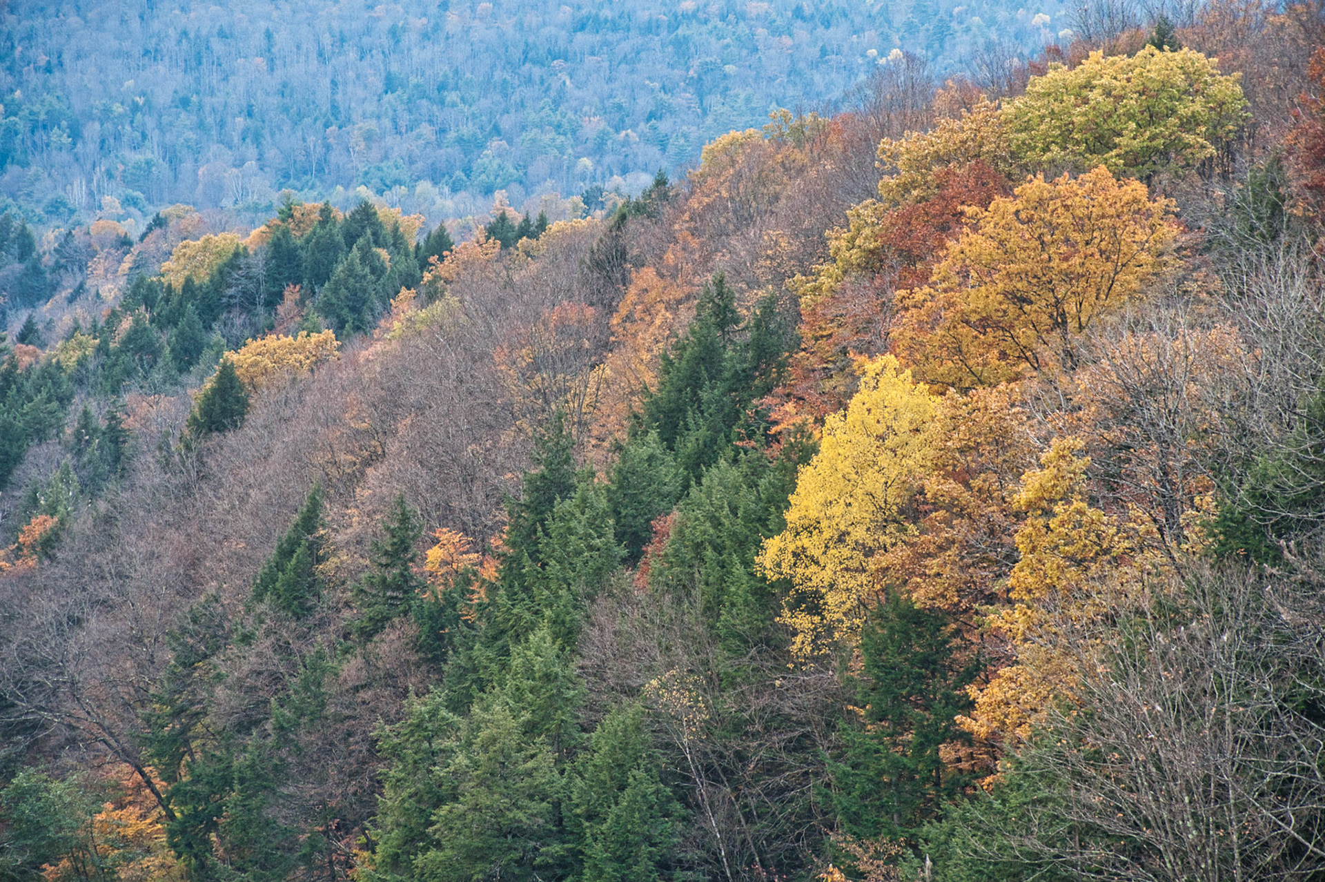 VT Miscellaneous 00017