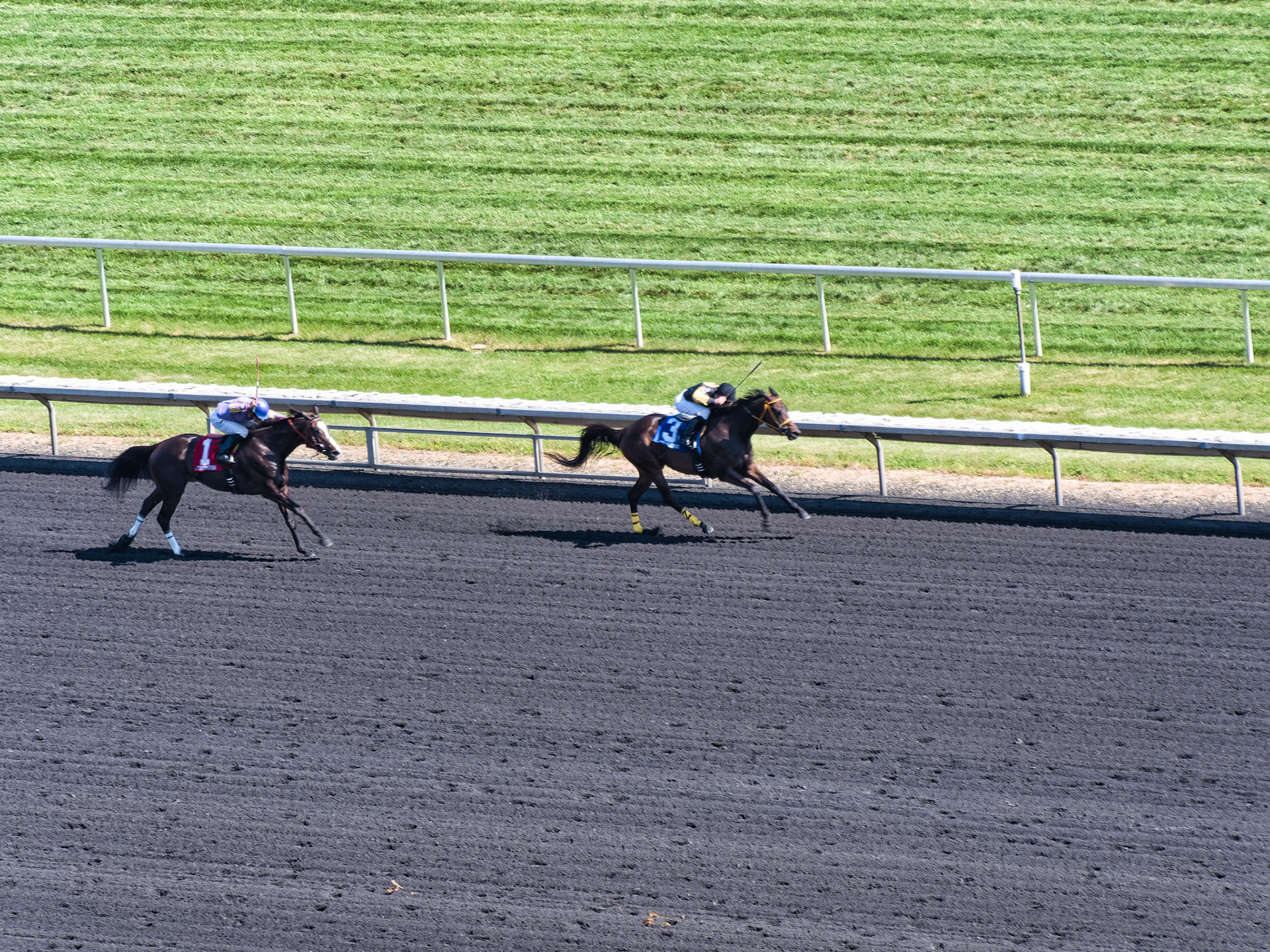 IL Arlington Park 00021