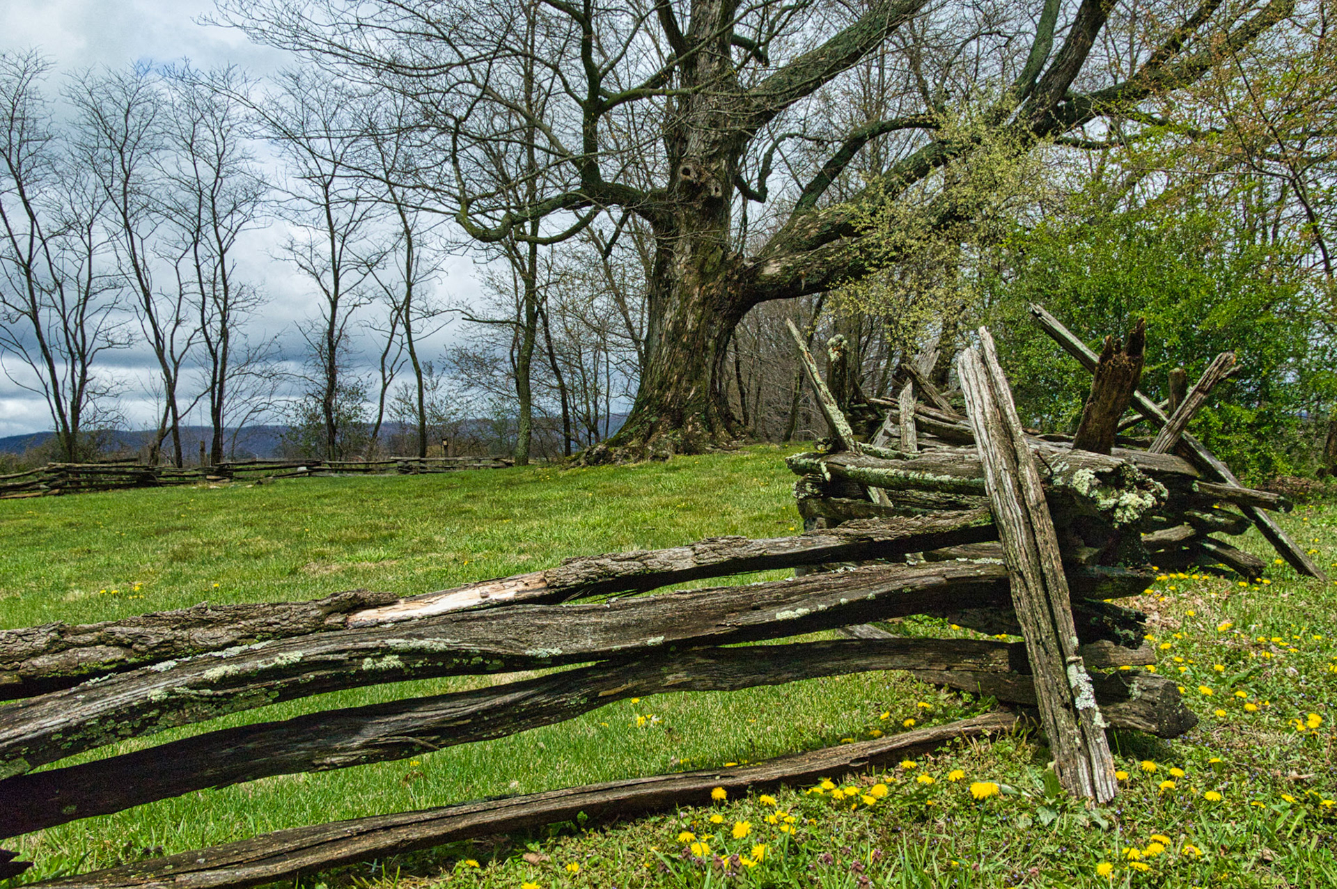 VA Blue Ridge Pkw 00027