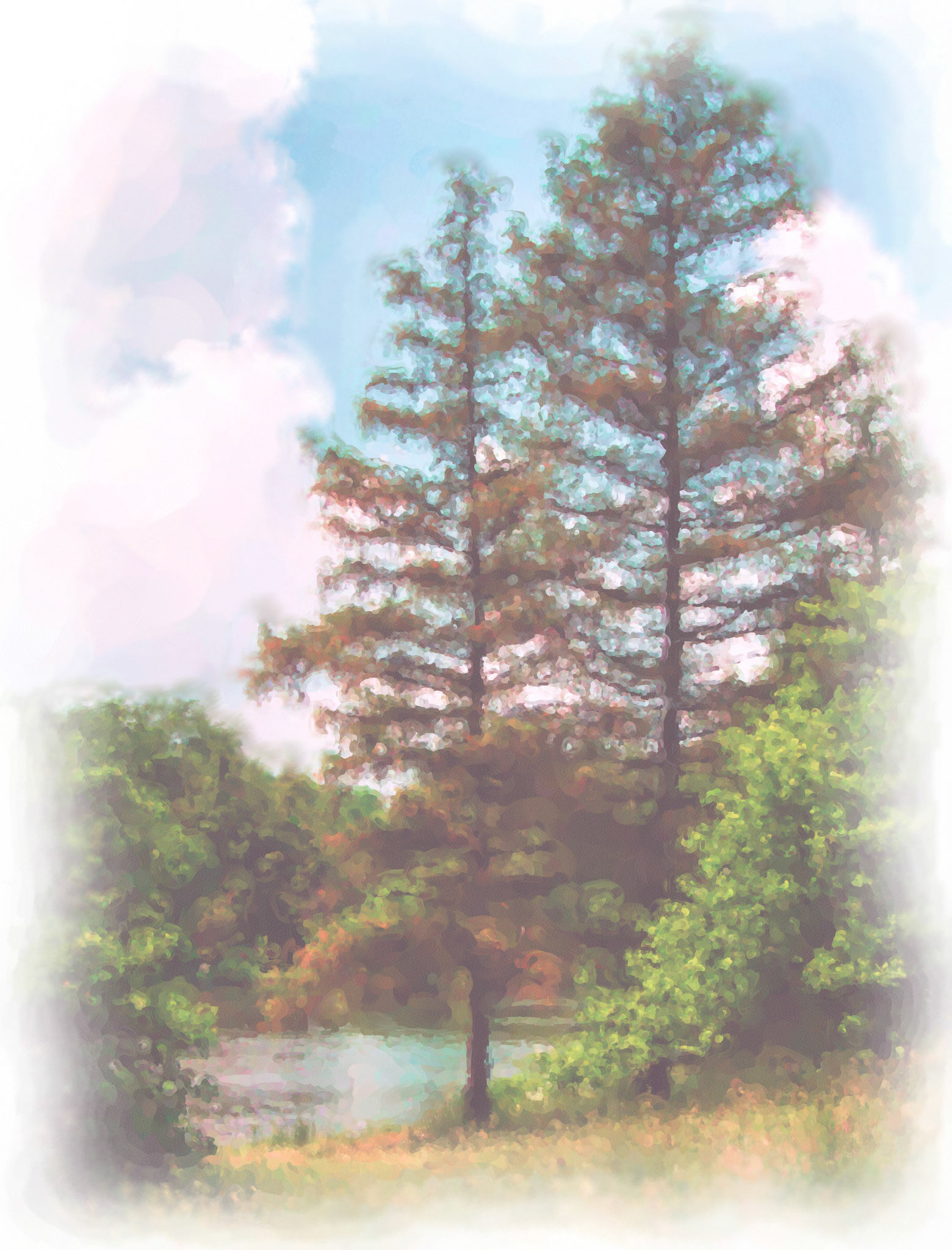 Paintings 00016