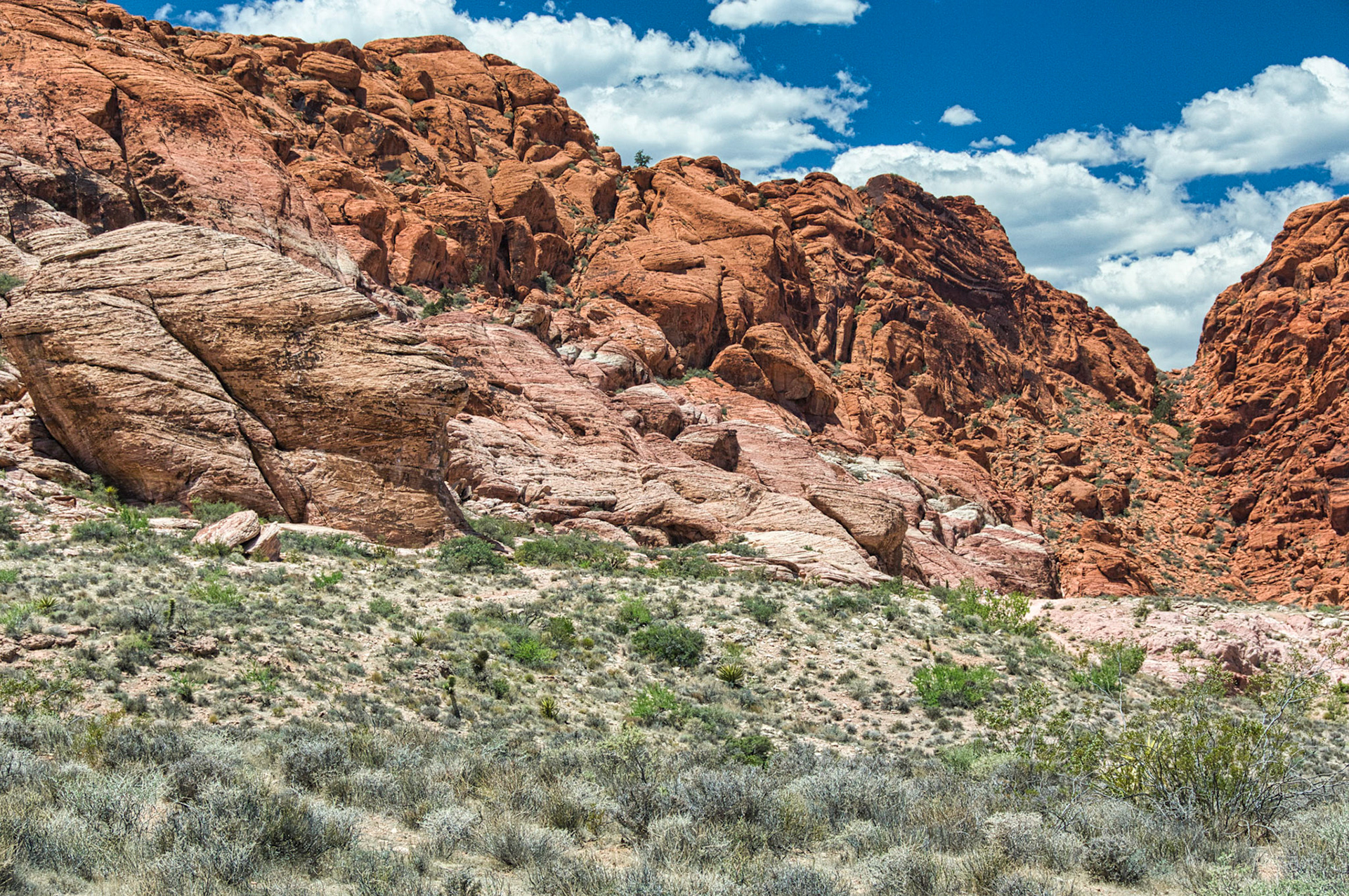 Desert Southwest