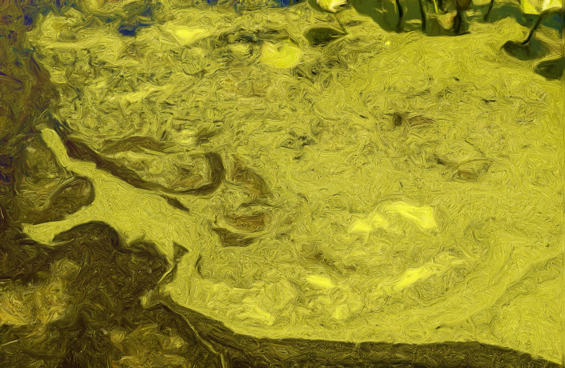 Paintings 00029