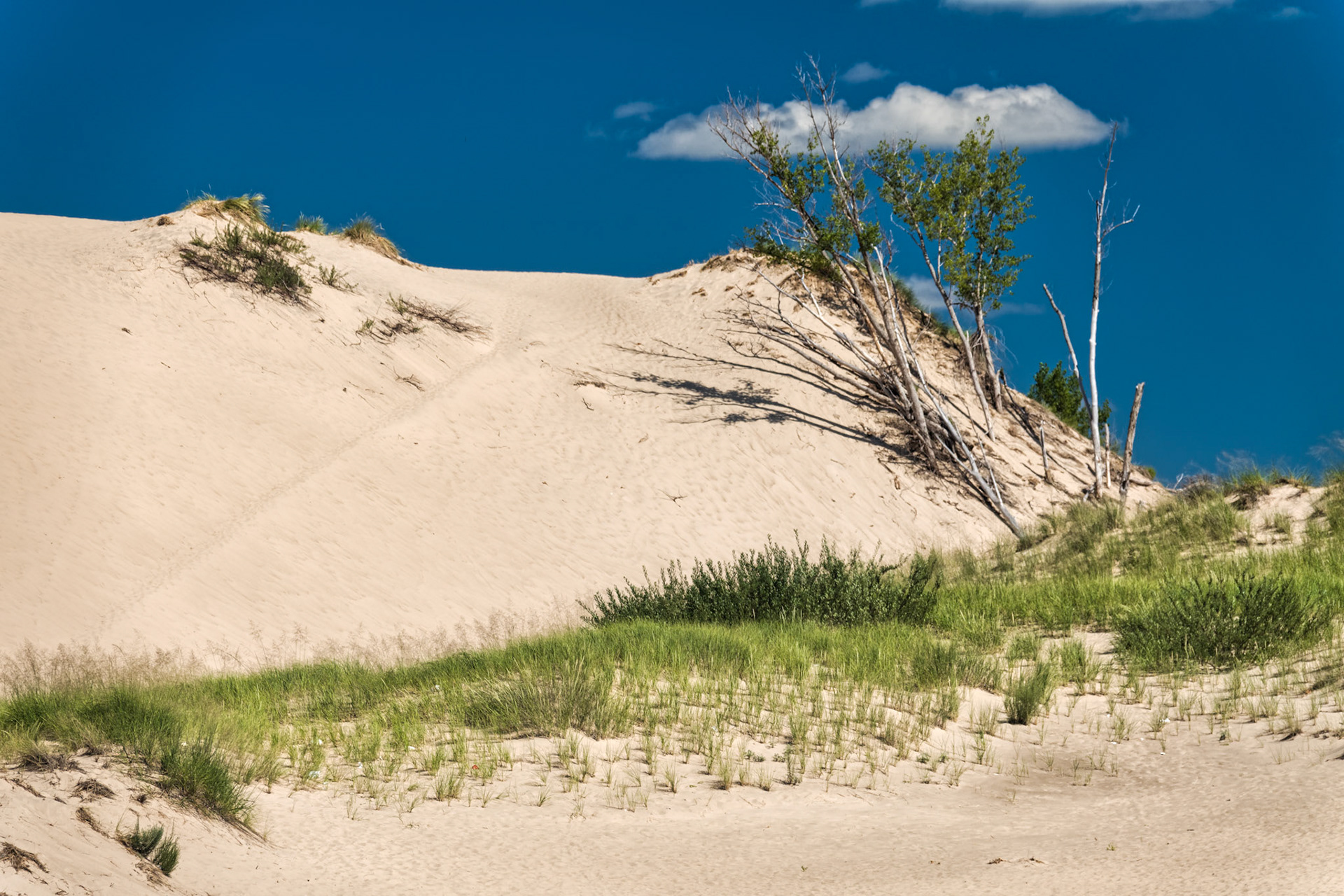 MI Dunes 00054