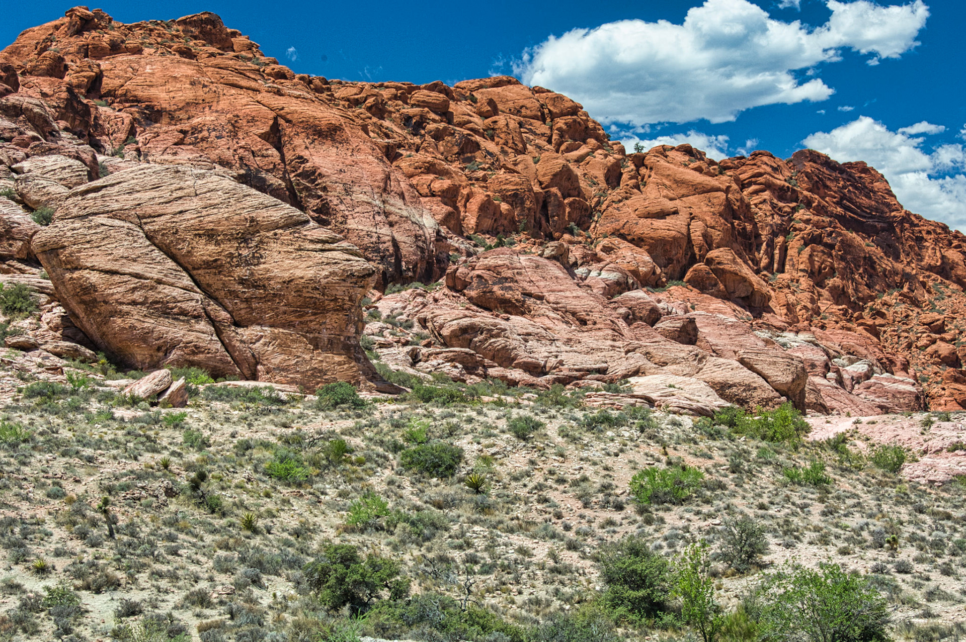 NV Desert 00013
