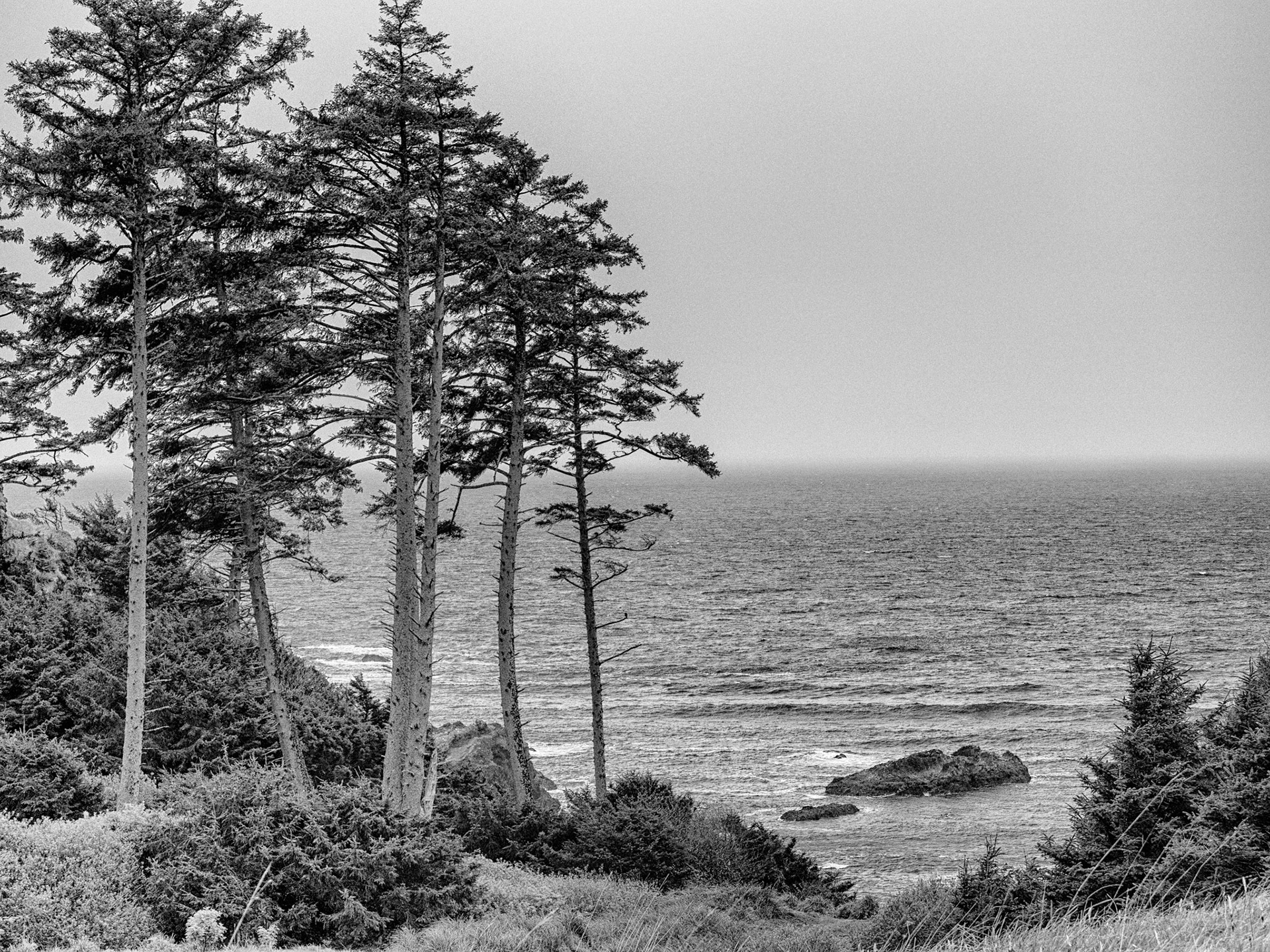 Black & White 00147