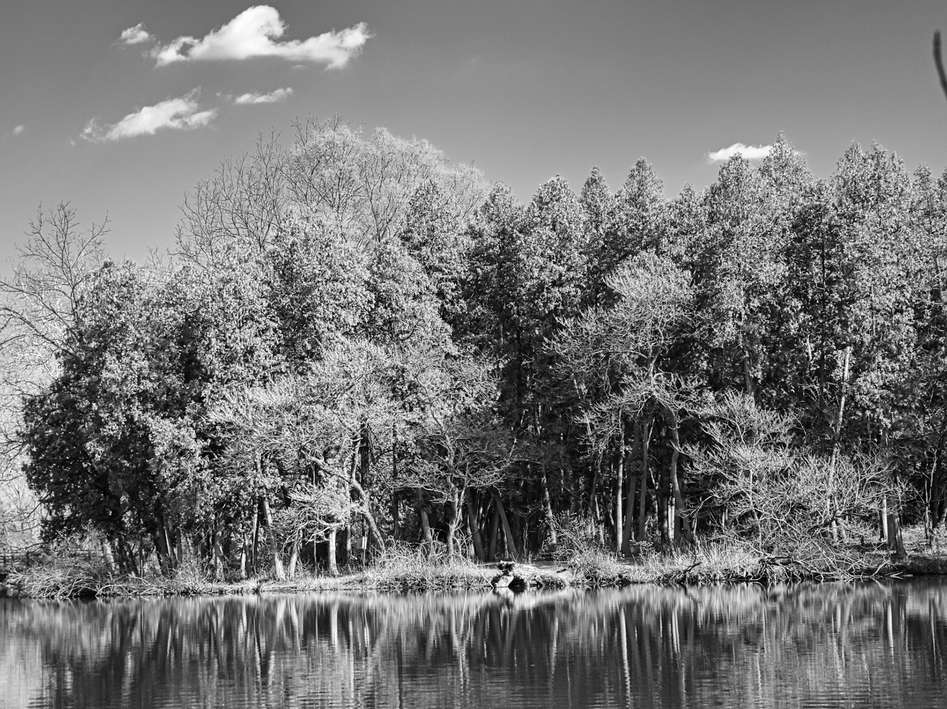 Black & White 00256