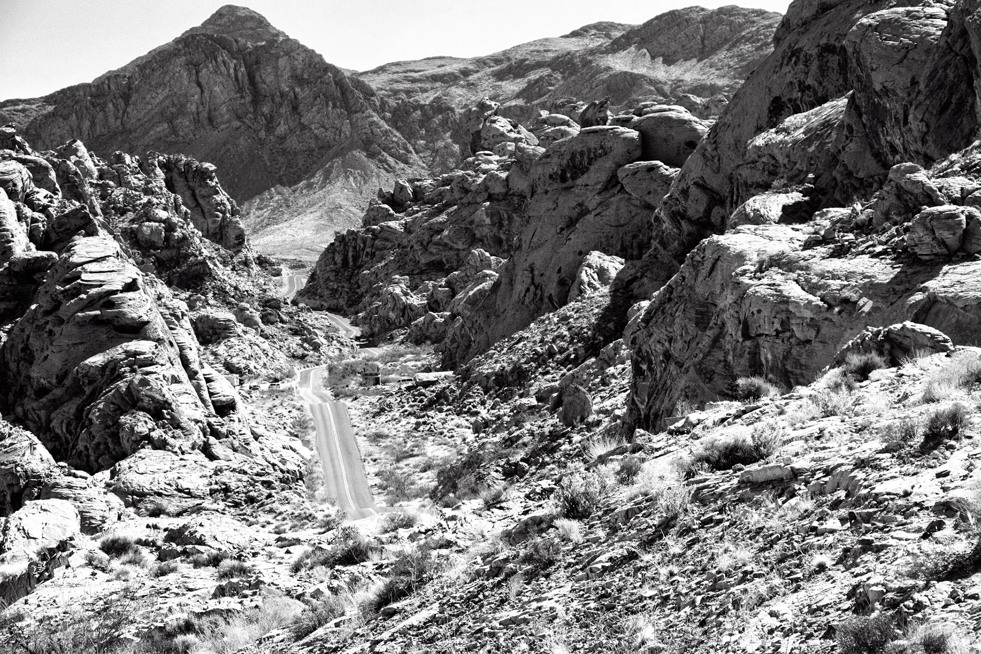 Black & White 00199