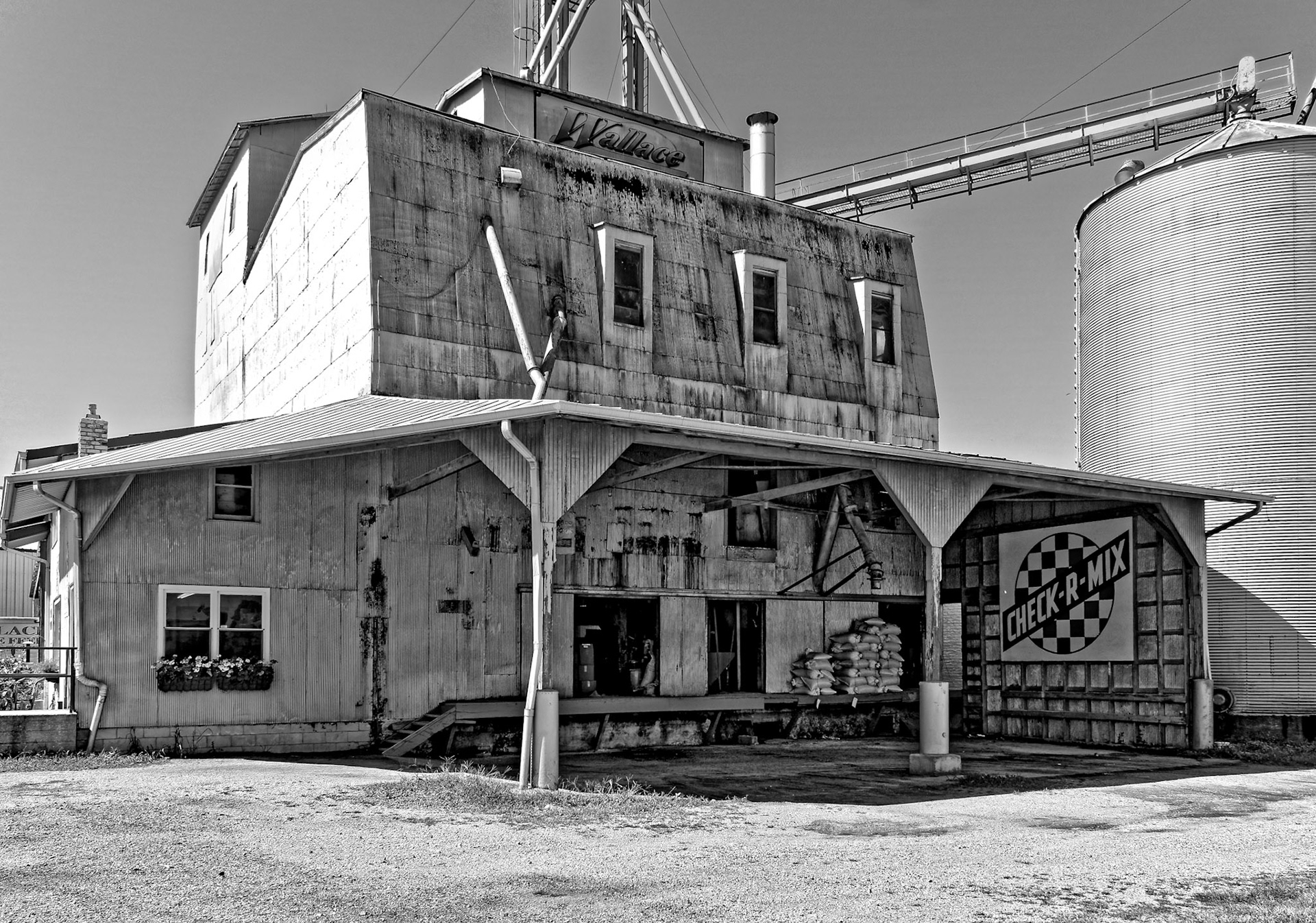 Black & White 00231