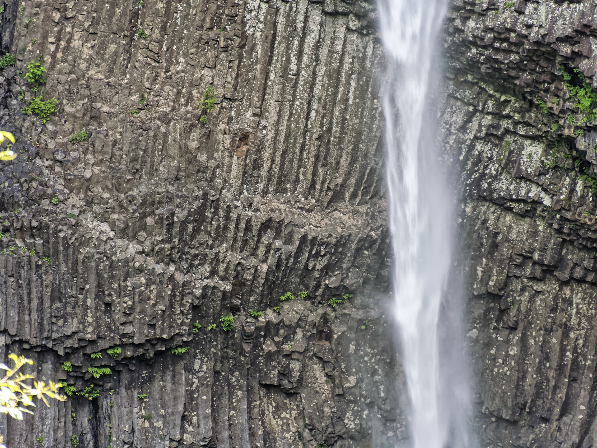 OR Portland 00012