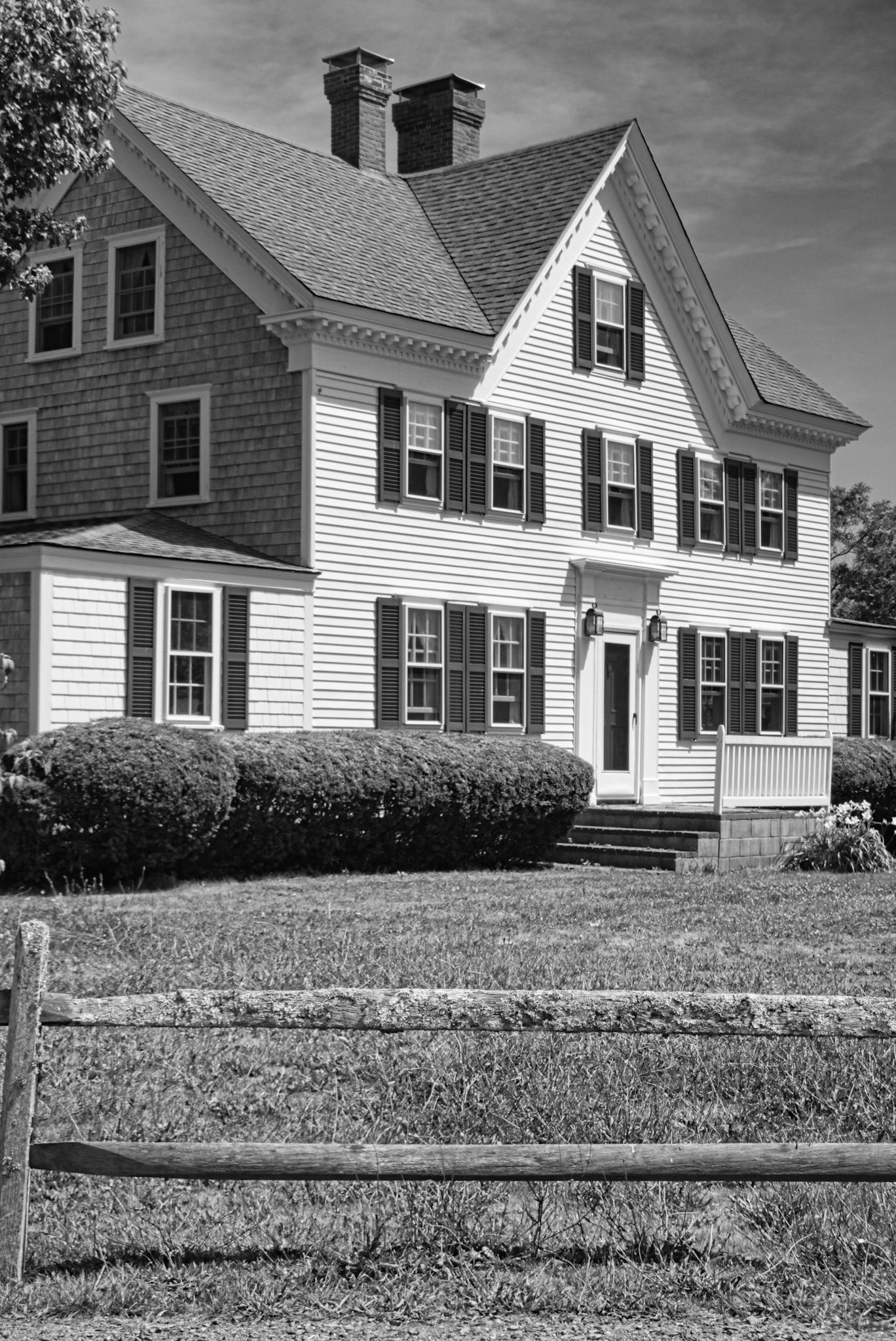 Black & White 00291