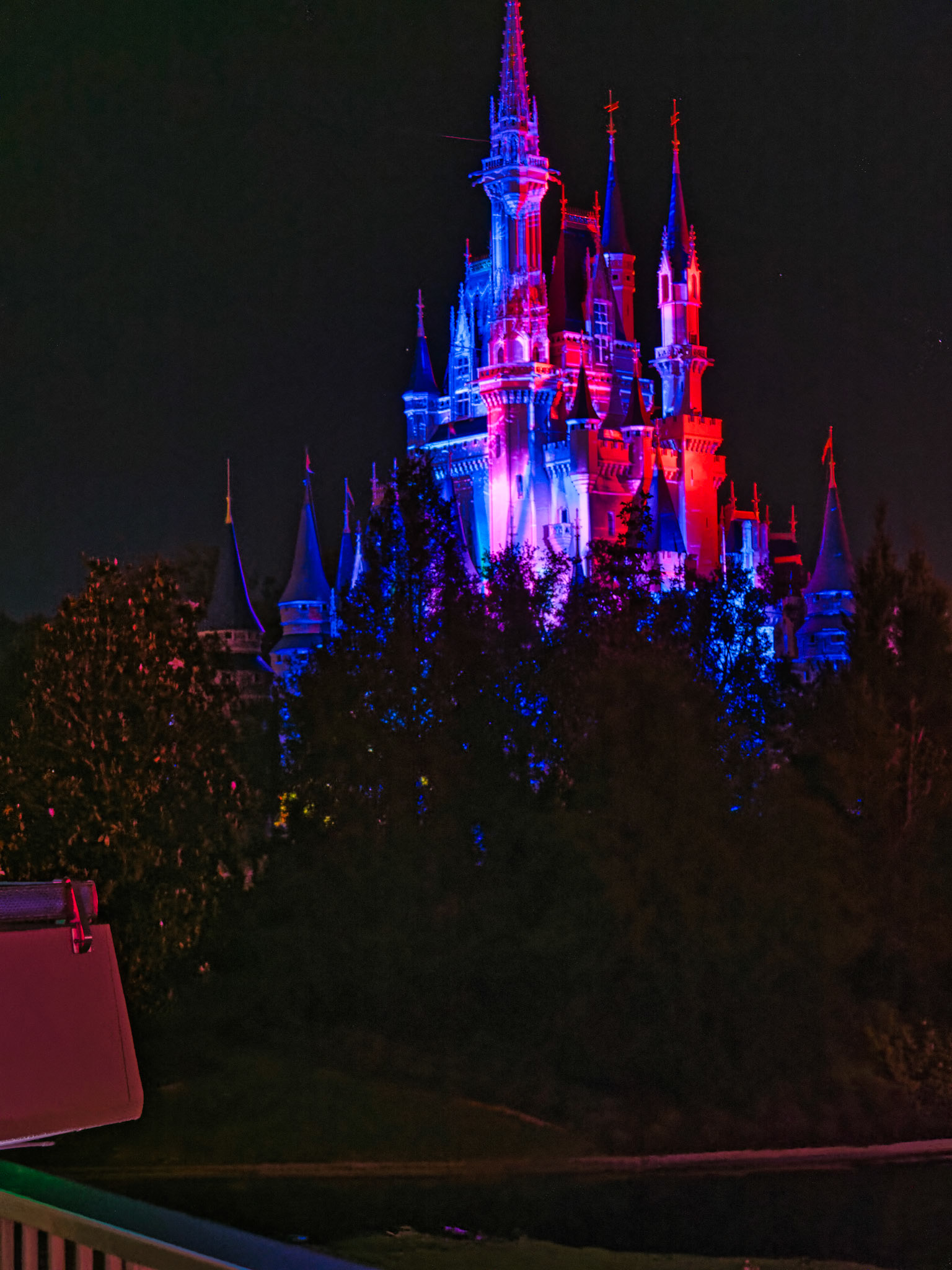 Florida Disney 00065