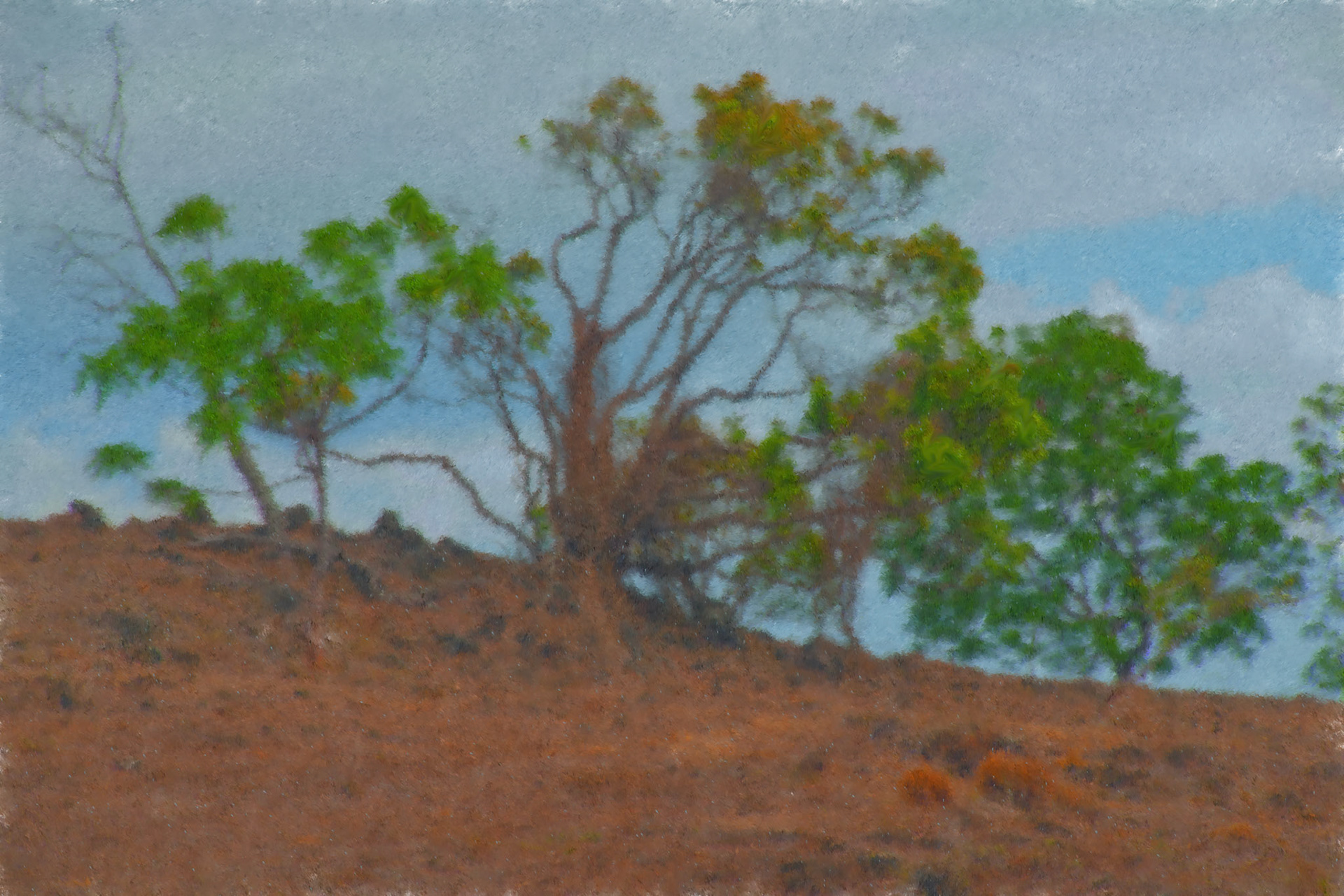 Paintings 00157