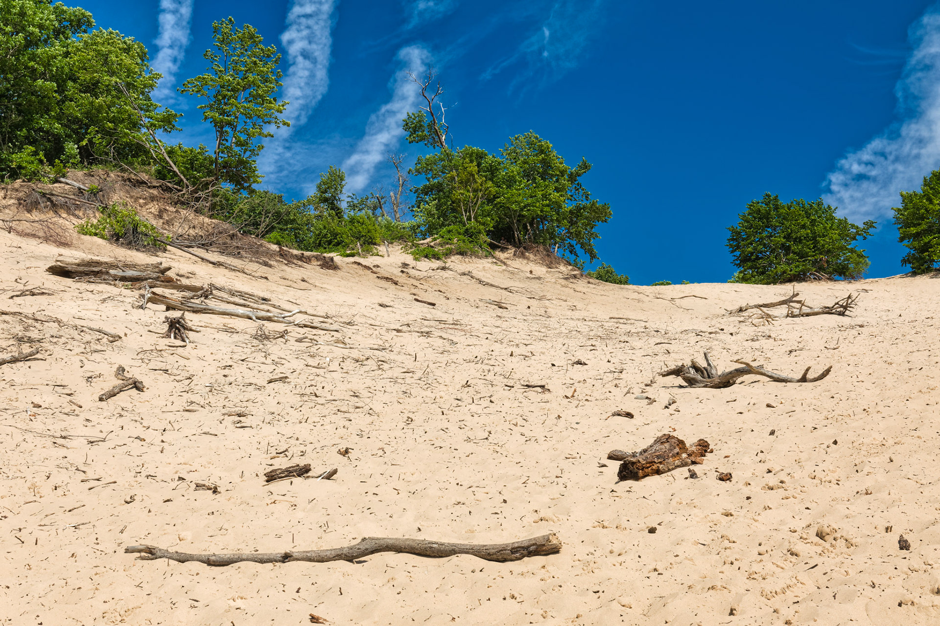 MI Dunes 00082