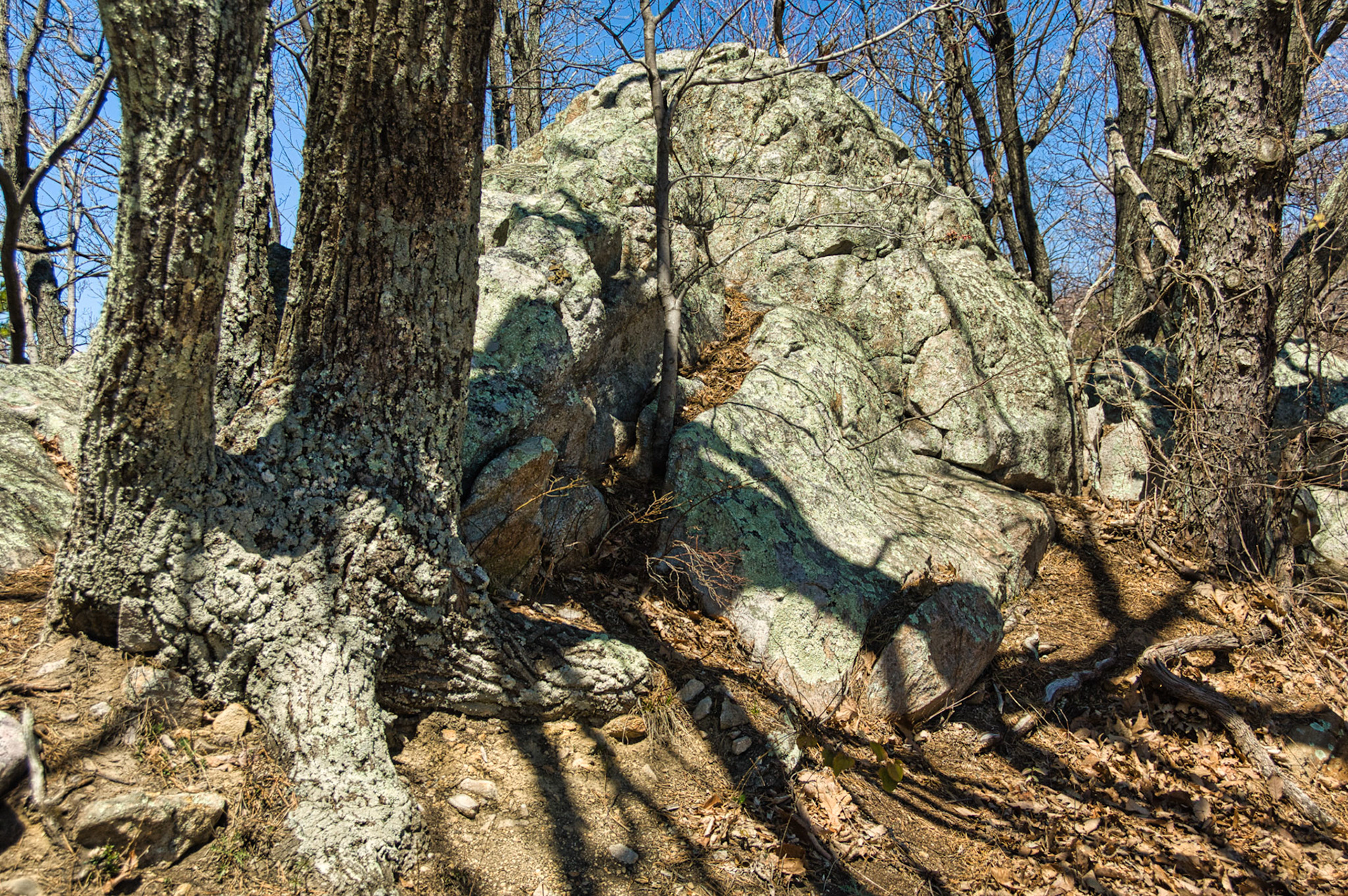 VA Blue Ridge Pkw 00018