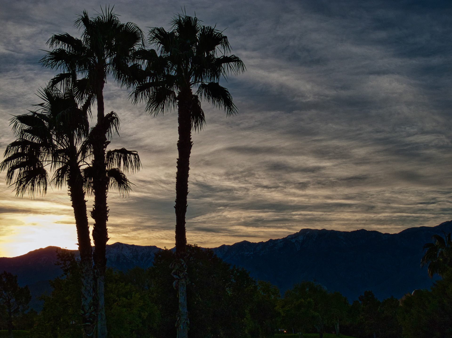 California Miscellaneous 00009