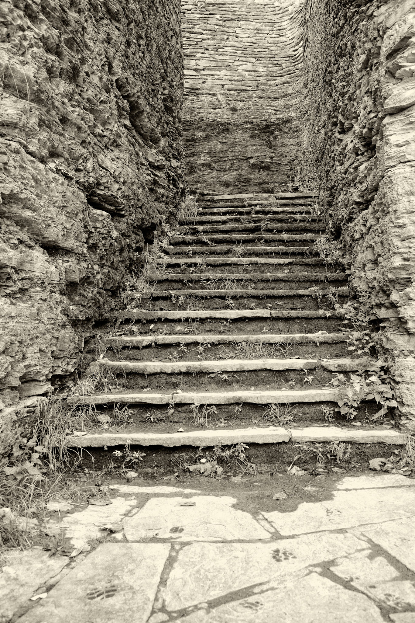 Black & White 00224