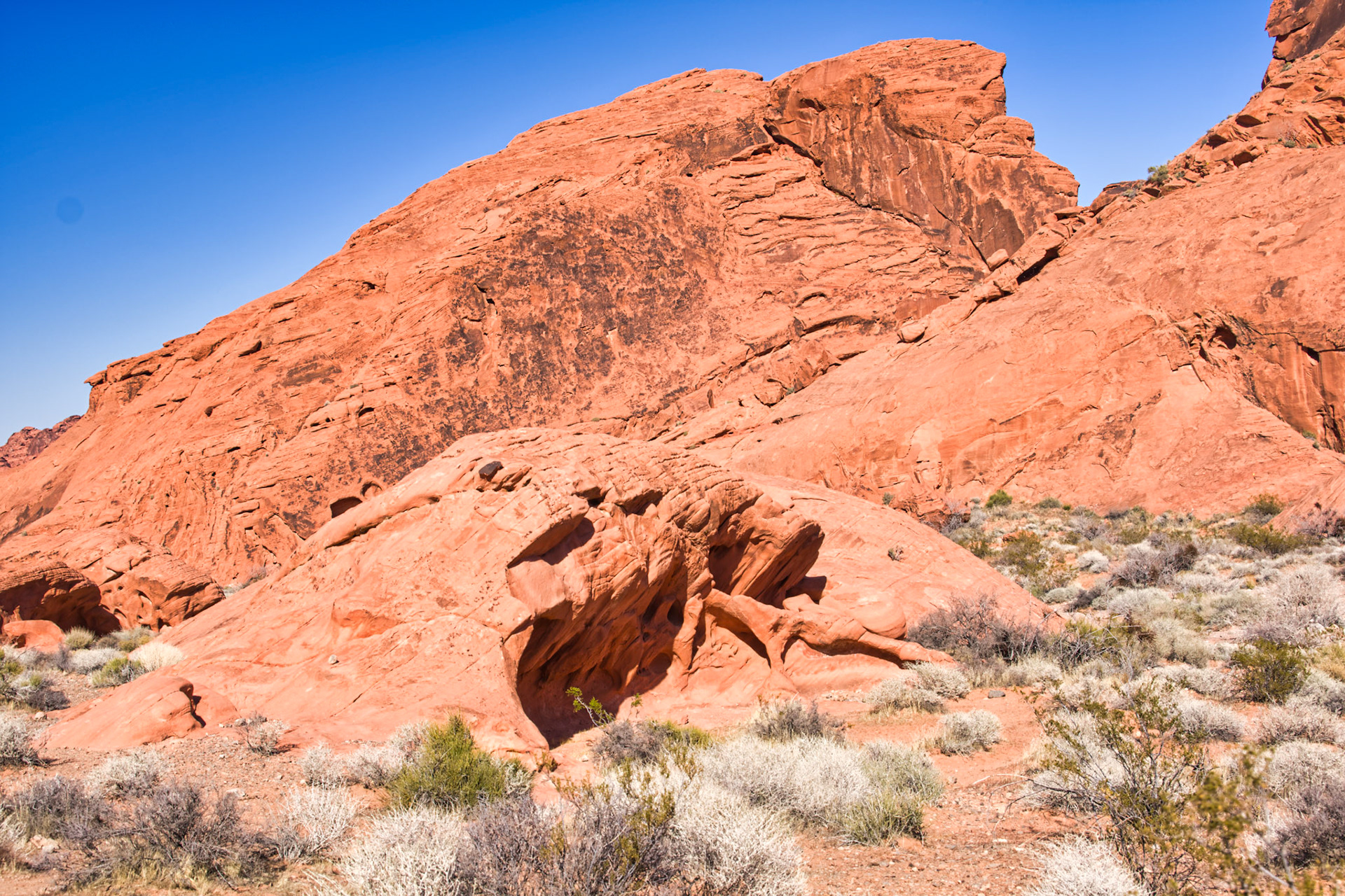 NV Desert 00080
