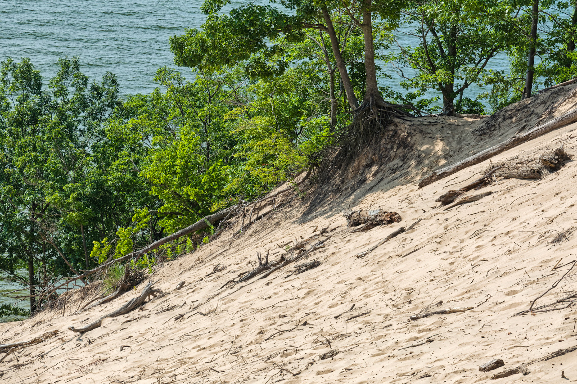 MI Dunes 00114