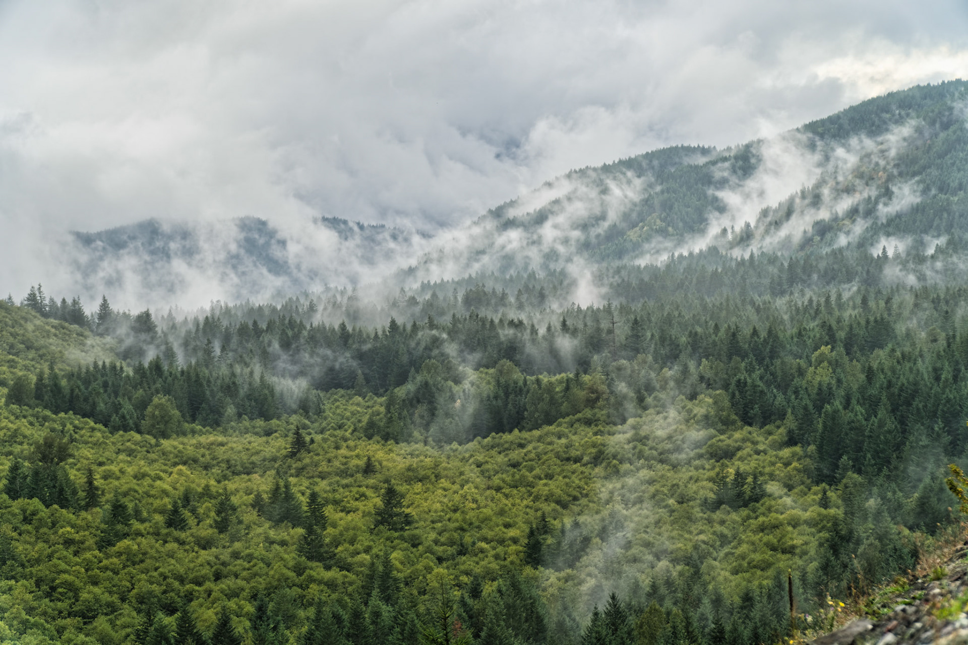 OR Mt Hood 00012