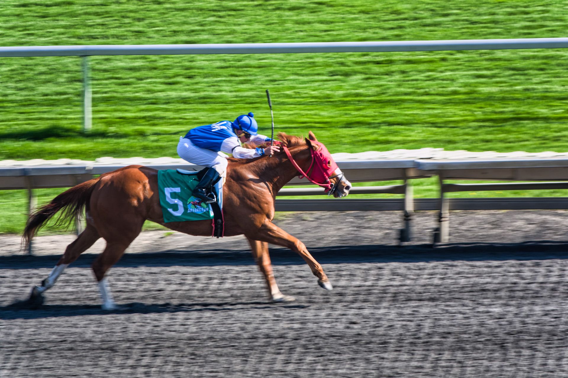 IL Arlington Park 00047