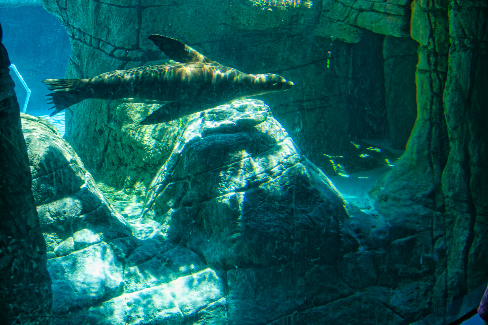 IN Zoo 00122