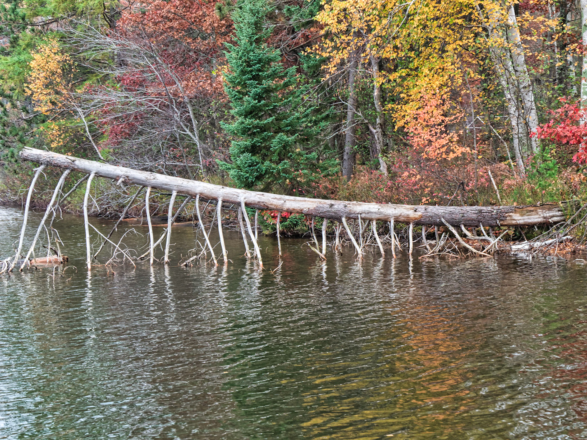 WI Fence 00140