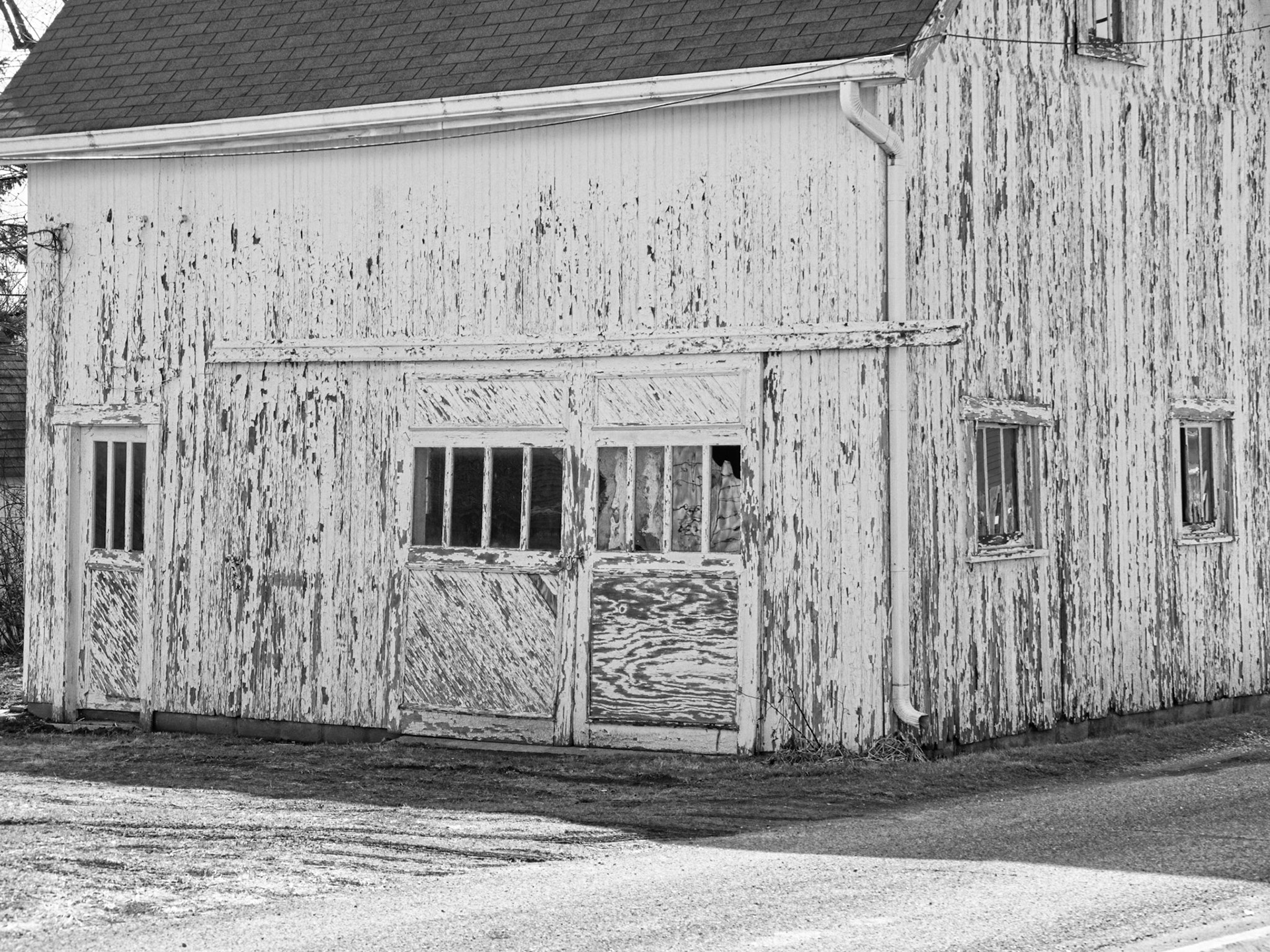 Black & White 00255