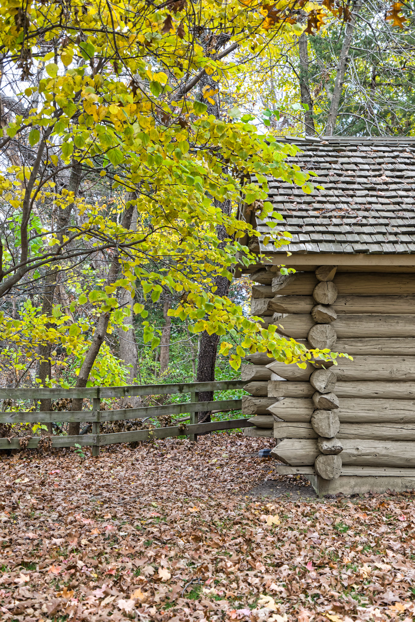 IL Starved Rock 00048