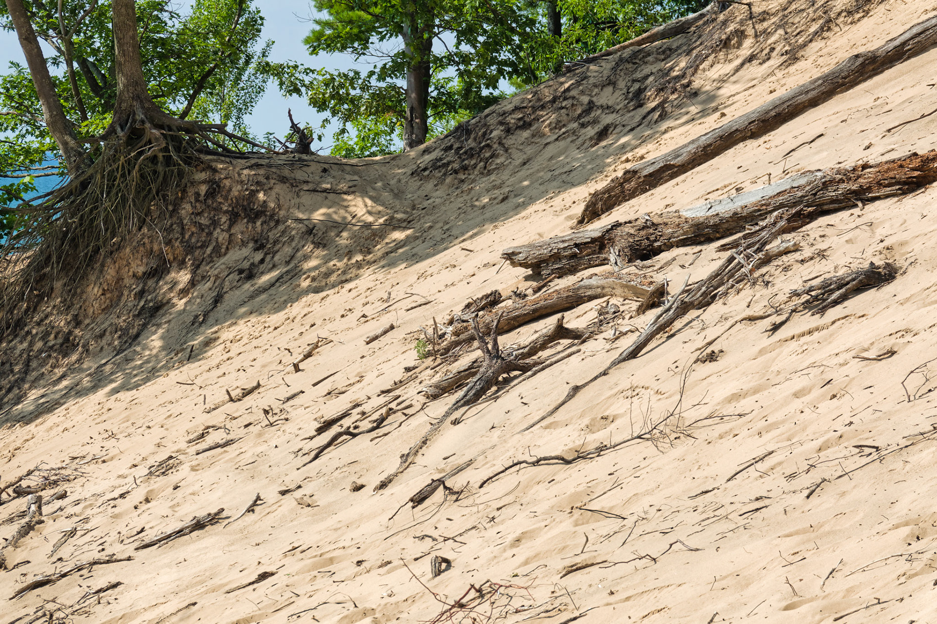 MI Dunes 00119