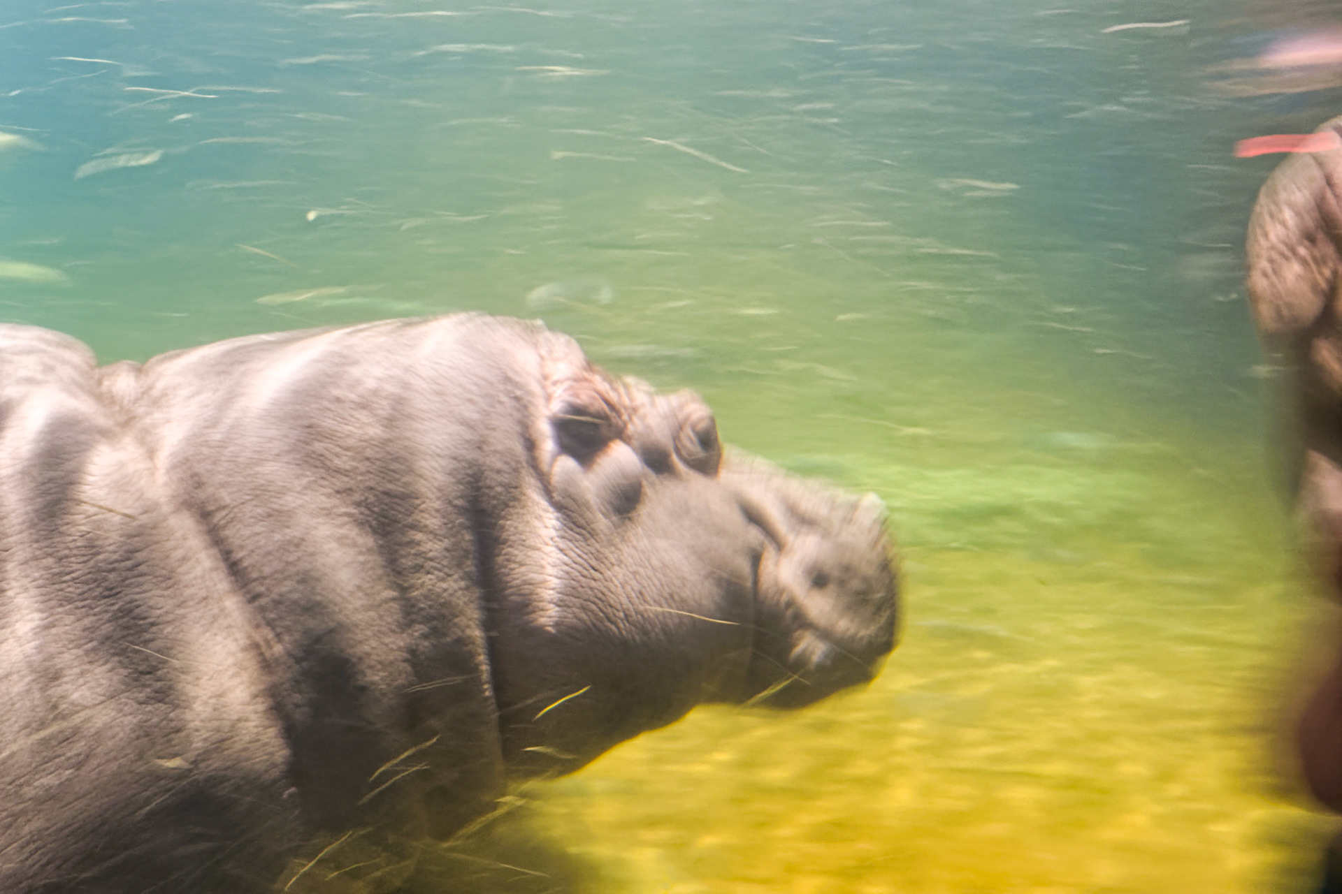 NJ Aquarium 00021