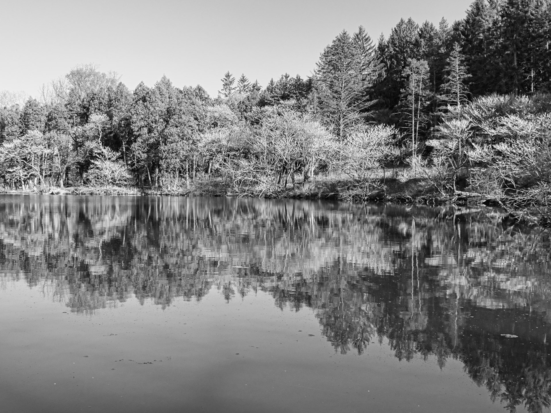 Black & White 00268