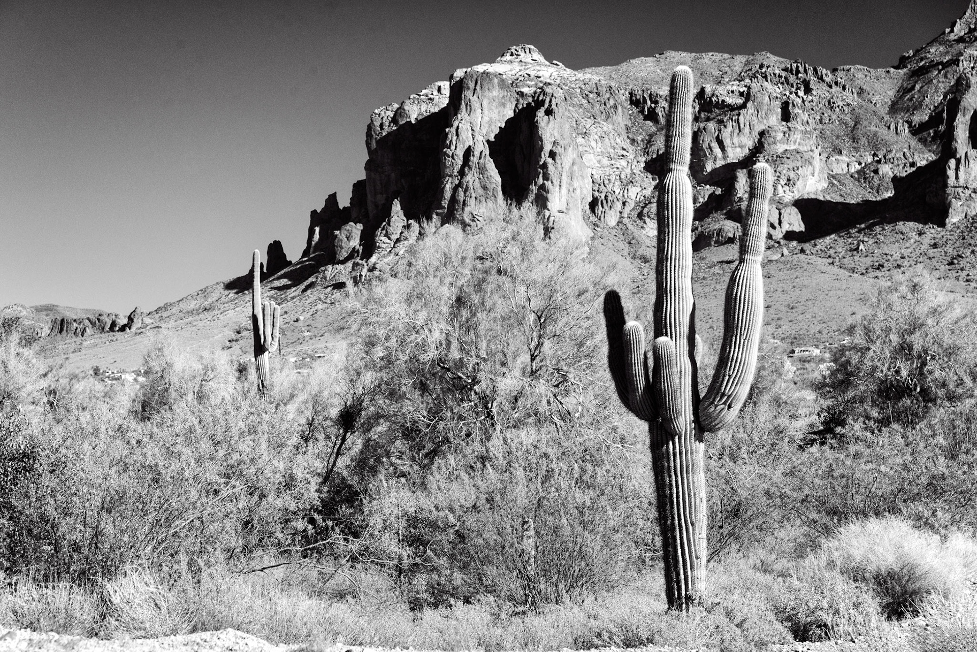 Black & White 00186
