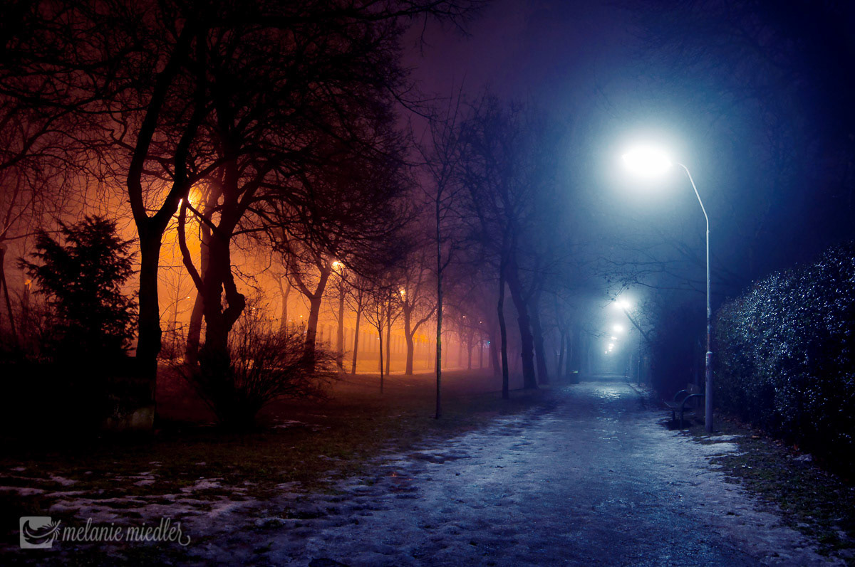 misty night