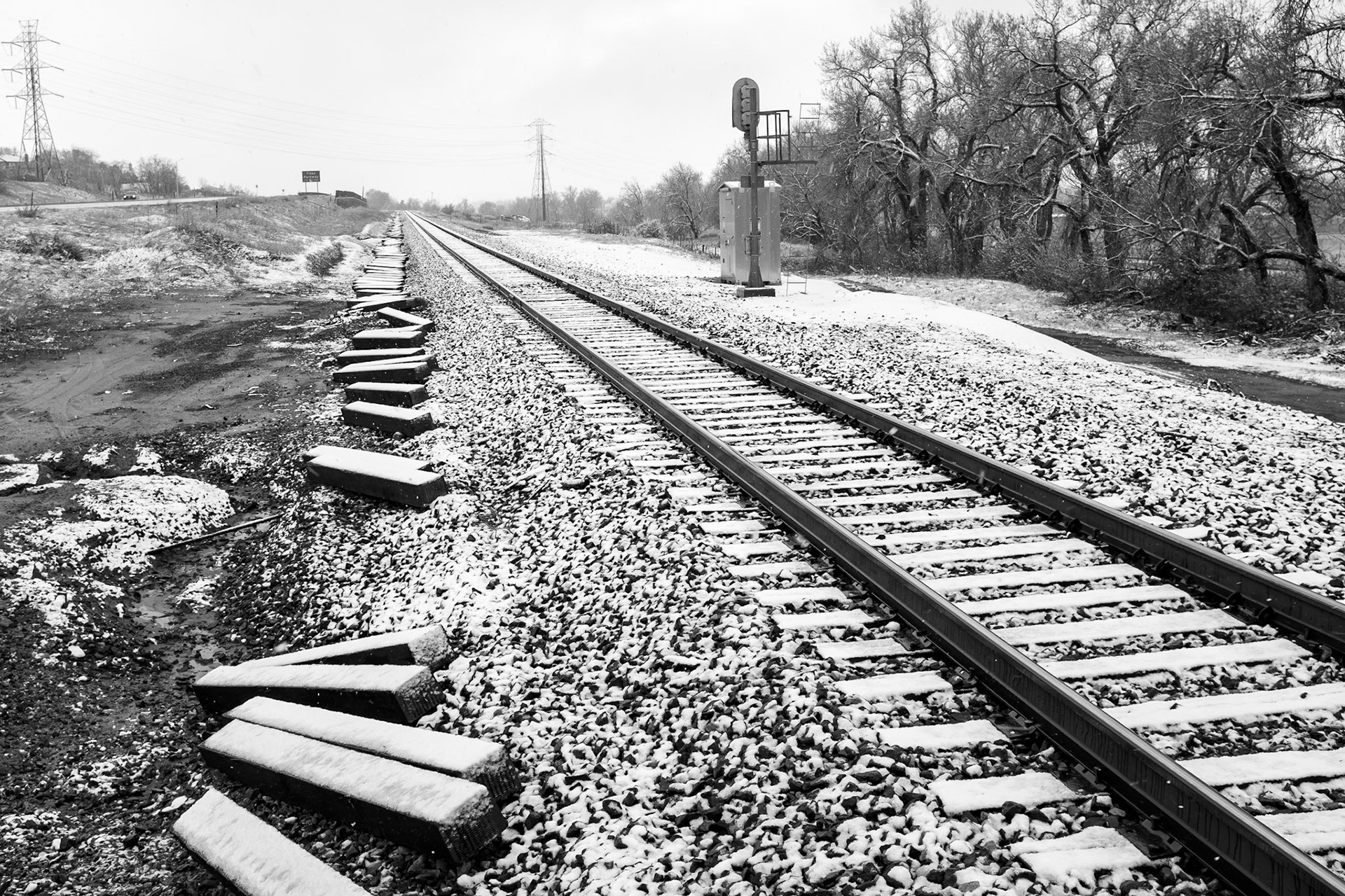 Photographed in Sedalia, Colorado