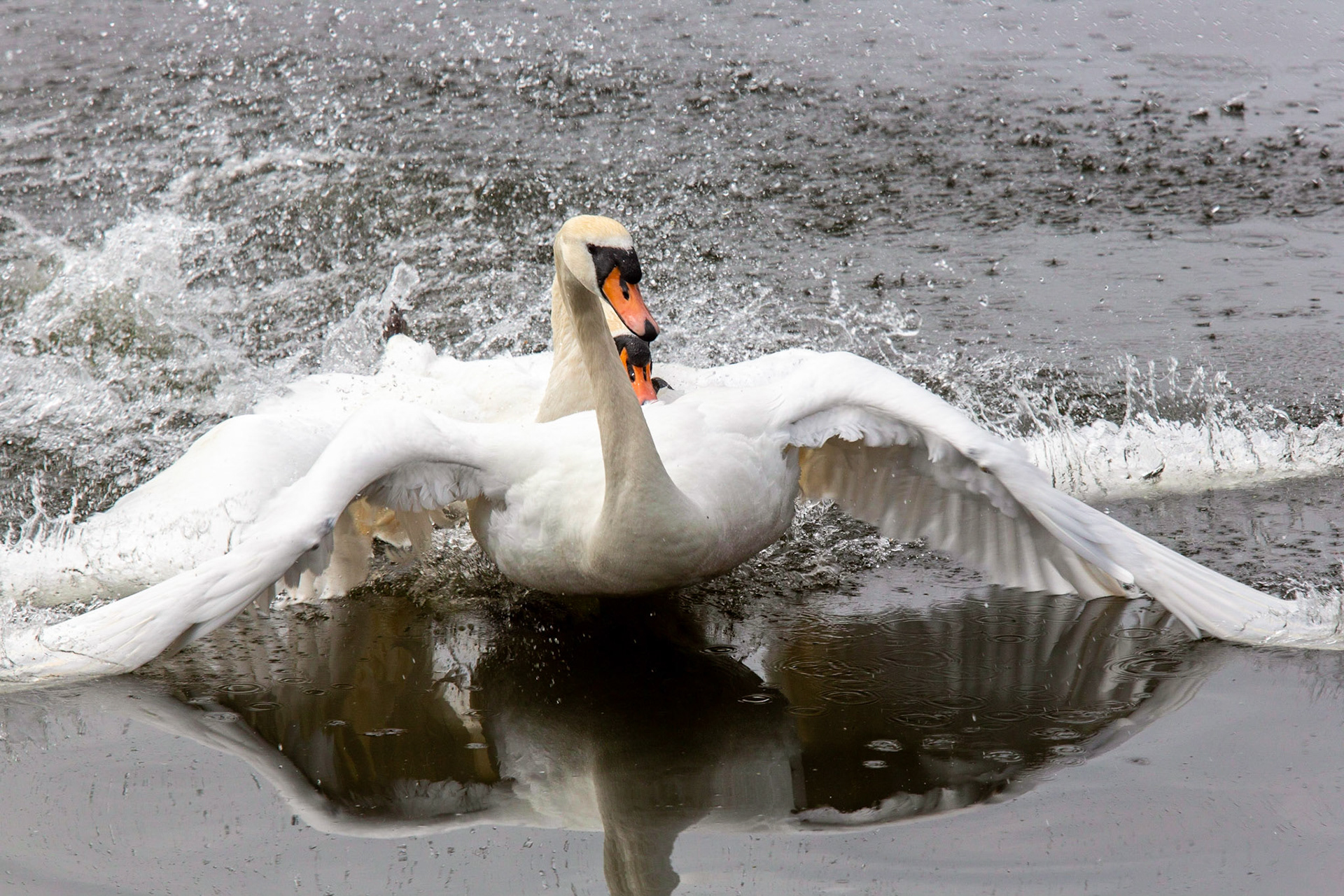 Photographed at Clumber Park
