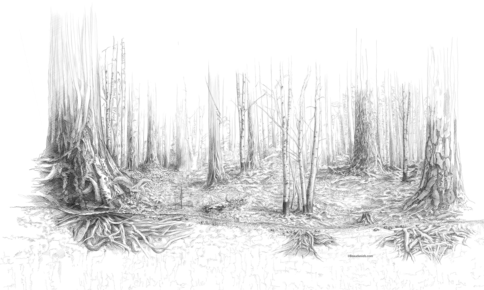 Revised sketch for Talking Trees