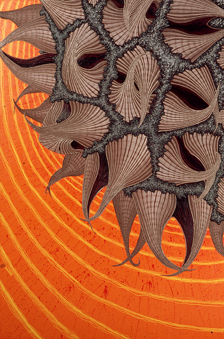 Seed H72"xW48"  Oil on Canvas